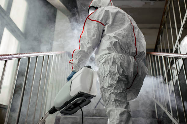  Simpson, PA Mold Removal Pros